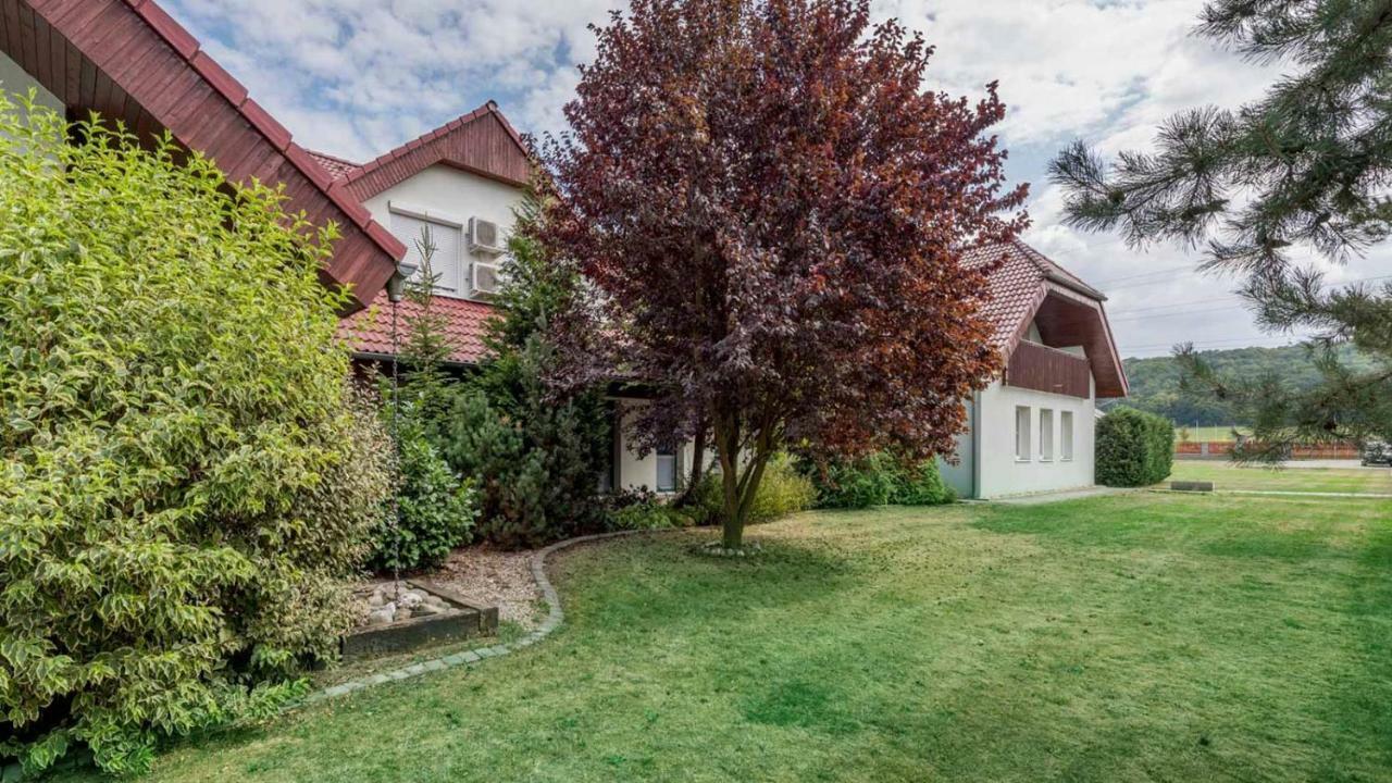 Guest house Solid